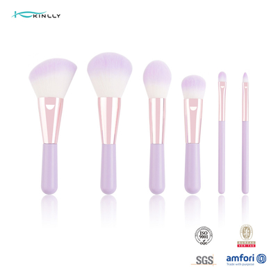 Brosse de lecture cosmétique de 6PCS Mini Gift Makeup Brush Set avec les cheveux synthétiques de deux couleurs