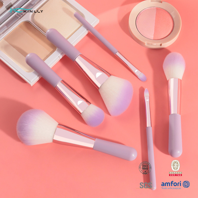 Brosse de lecture cosmétique de 6PCS Mini Gift Makeup Brush Set avec les cheveux synthétiques de deux couleurs
