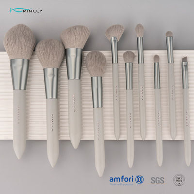 Brosse de lecture de luxe de maquillage de nano d'OEM 10PCS pour le visage