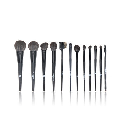 Outil synthétique de beauté de cosmétiques de brosse de lecture de maquillage de noir des cheveux 12PCS